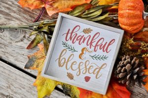 Read more about the article Developing a Spirit of Thankfulness 4: Thanksgiving Day Psalm