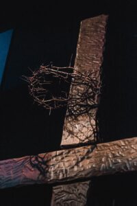 Read more about the article Earthly Thorns that Trouble Us 7- Sunday Selah